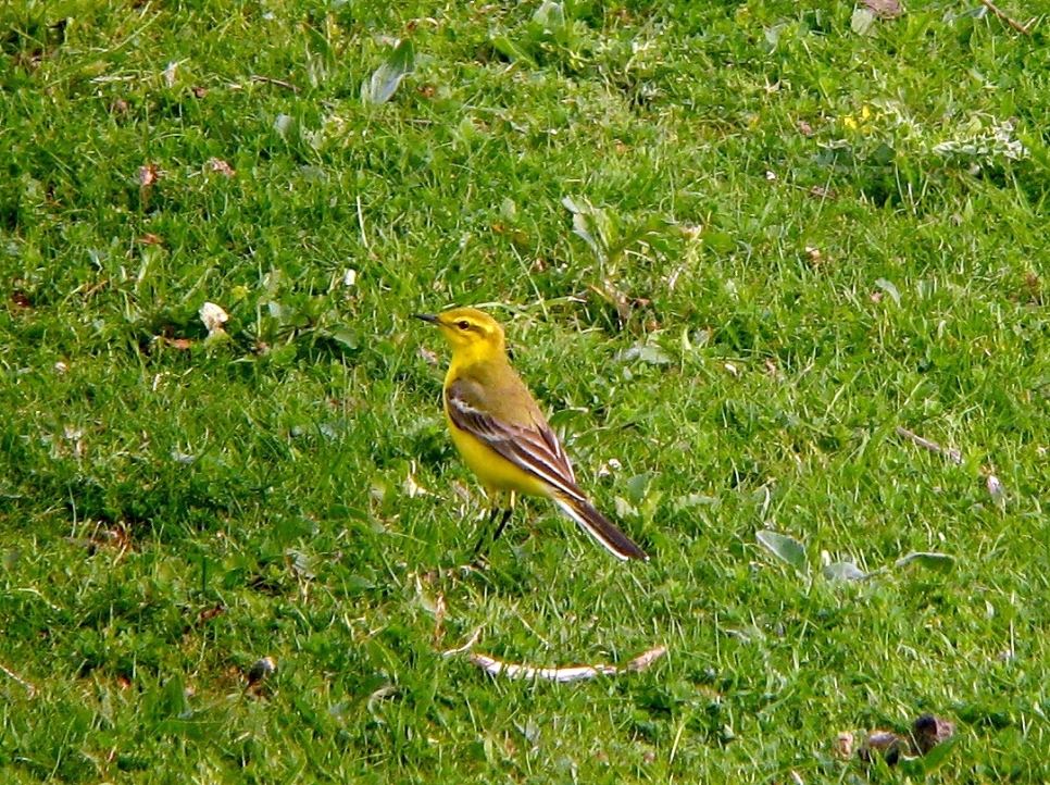 Latest Sightings
